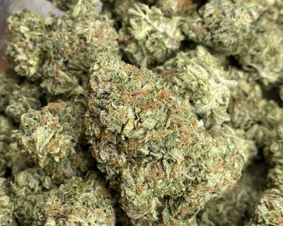PINK MOONLIGHT (MEGA GAS) (BULK ONLY) - Image 1